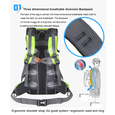 zaino leggero 40L del viaggio delle donne d'escursione impermeabili verdi dello zaino di 64cm