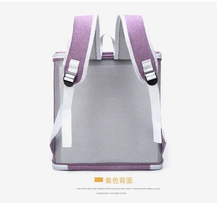 Zaino respirabile della finestra di Cat Kitten Dog Backpack Astronaut Capsule del trasportatore dell'animale domestico
